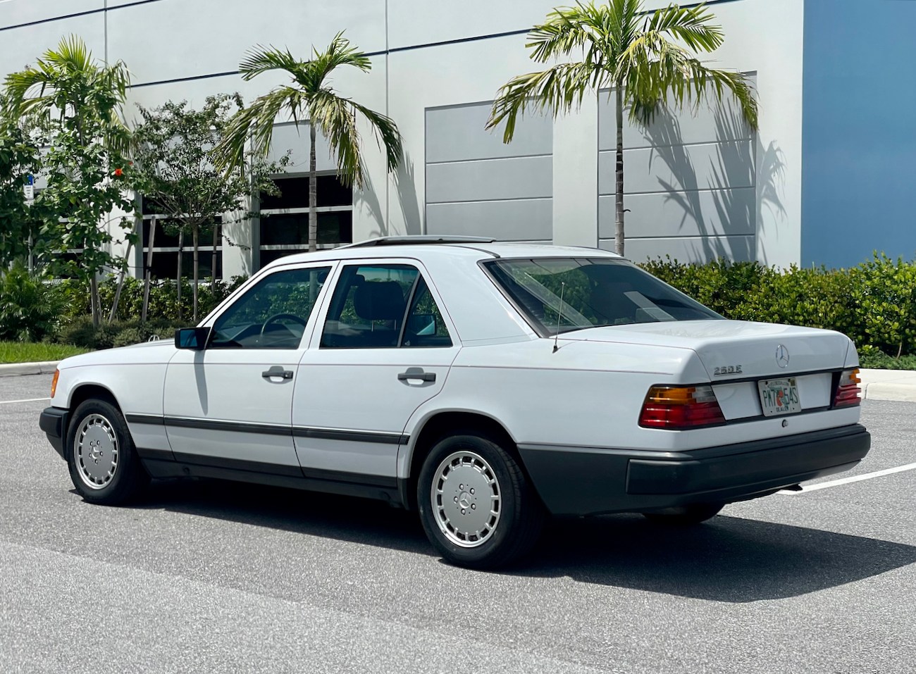 NO RESERVE: 1989 Mercedes-Benz 260E For Sale | The MB Market