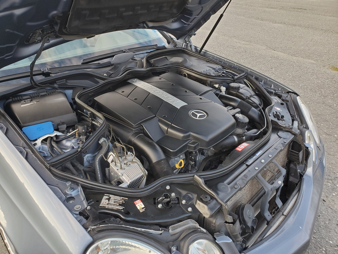 2005 Mercedes-Benz E500 4MATIC Wagon For Sale | The MB Market