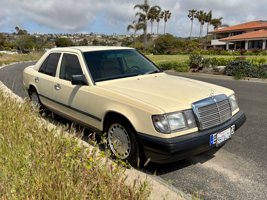 featured auction